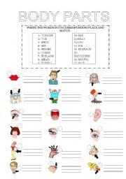 English Worksheet: BODY PARTS