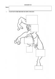 English Worksheet: body parts