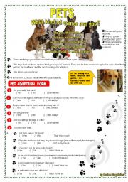English Worksheet: PETS - WHAT KIND OF OWNER ARE YOU?
