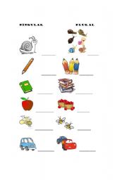 English worksheet: Singular Plural