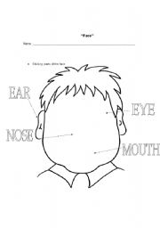 English Worksheet: face II