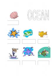 English Worksheet: ocean names