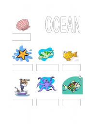 English worksheet: ocean names