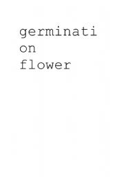 English Worksheet: plant vocabulary