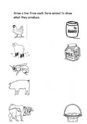 English Worksheet: Animals and their produce 