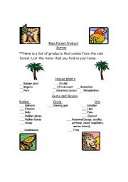 English Worksheet: Rain Forest Survey 