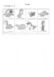 English worksheet: A / an