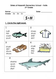 English Worksheet: ponics sh