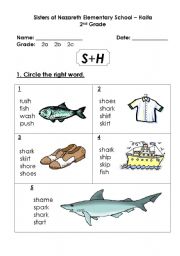 English worksheet: ponics sh