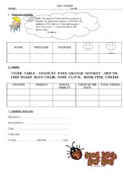 English worksheet: personal information , likes, dislikes, colours, animals