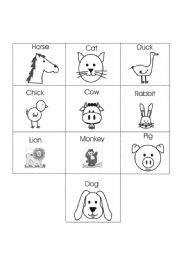 English worksheet: Animals Concentrate