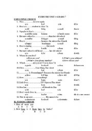 English Worksheet: Reading exercise
