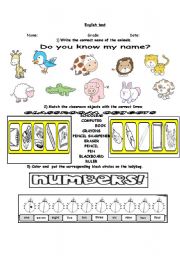 english test numerals, animals, clasroom objects