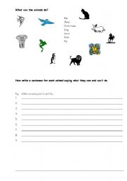 English worksheet: What animals can and cant do