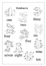 English Worksheet: Numbers 1-10