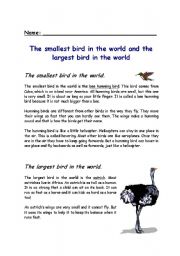 English Worksheet: The smallest bird