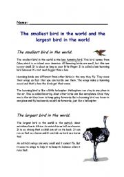 English worksheet: The smallest bird