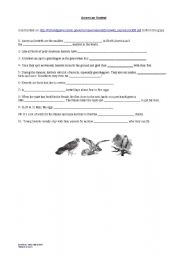 English worksheet: Kestrels