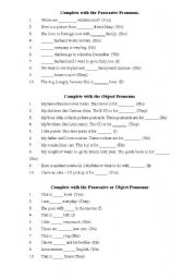 POSSESSIVE AND OBJECT PRONOUNS