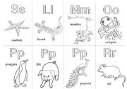 Animal Alphabet Cards_Extension 4