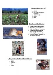 English Worksheet: NGOs. Save the world