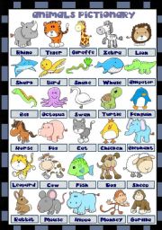 English Worksheet: ANIMALS PICTIONARY 
