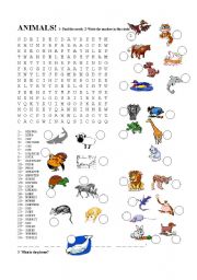 English Worksheet: Animals