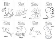 English Worksheet: Animal Alphabet Cards Extension 5