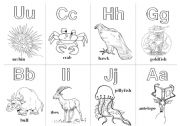 English Worksheet: Animal Alphabet Cards Extension 7