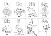 English Worksheet: Animal Alphabet Cards Extension 7