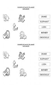 English Worksheet: Animals! Lets go to the jungle! Lets match!