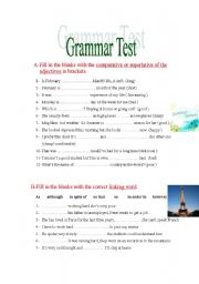 English worksheet: Grammar Test