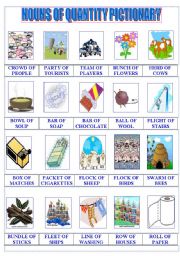 English Worksheet: Nouns of Quantity Pictionary