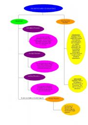 English Worksheet: Phonetics and its branches