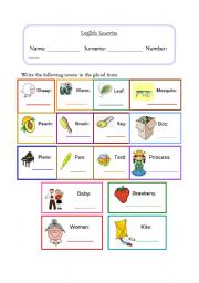 English Worksheet: Exercise - Plural