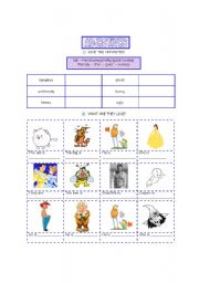 English worksheet: ADJECTIVES (ELEMENTARY)