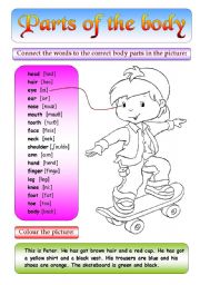 English Worksheet: Parts of the body - Boys