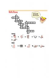 English Worksheet: parts of body