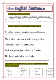 English Worksheet: the English sentence