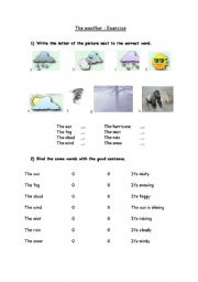 English Worksheet: The weather