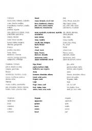 English Worksheet: Body parts