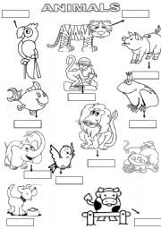 English Worksheet: Animals