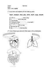 English worksheet: Organs: heart, stomach and lungs