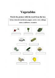 English worksheet: Vegetables