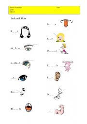 English Worksheet: Body Parts