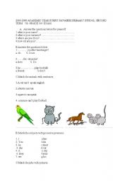 English worksheet: animals