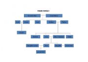 English Worksheet: Family Three