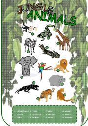 Jungle animals - a simple worksheet