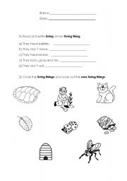 English worksheet: Science activities