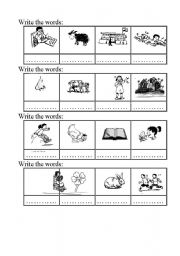 English worksheet: write the words 